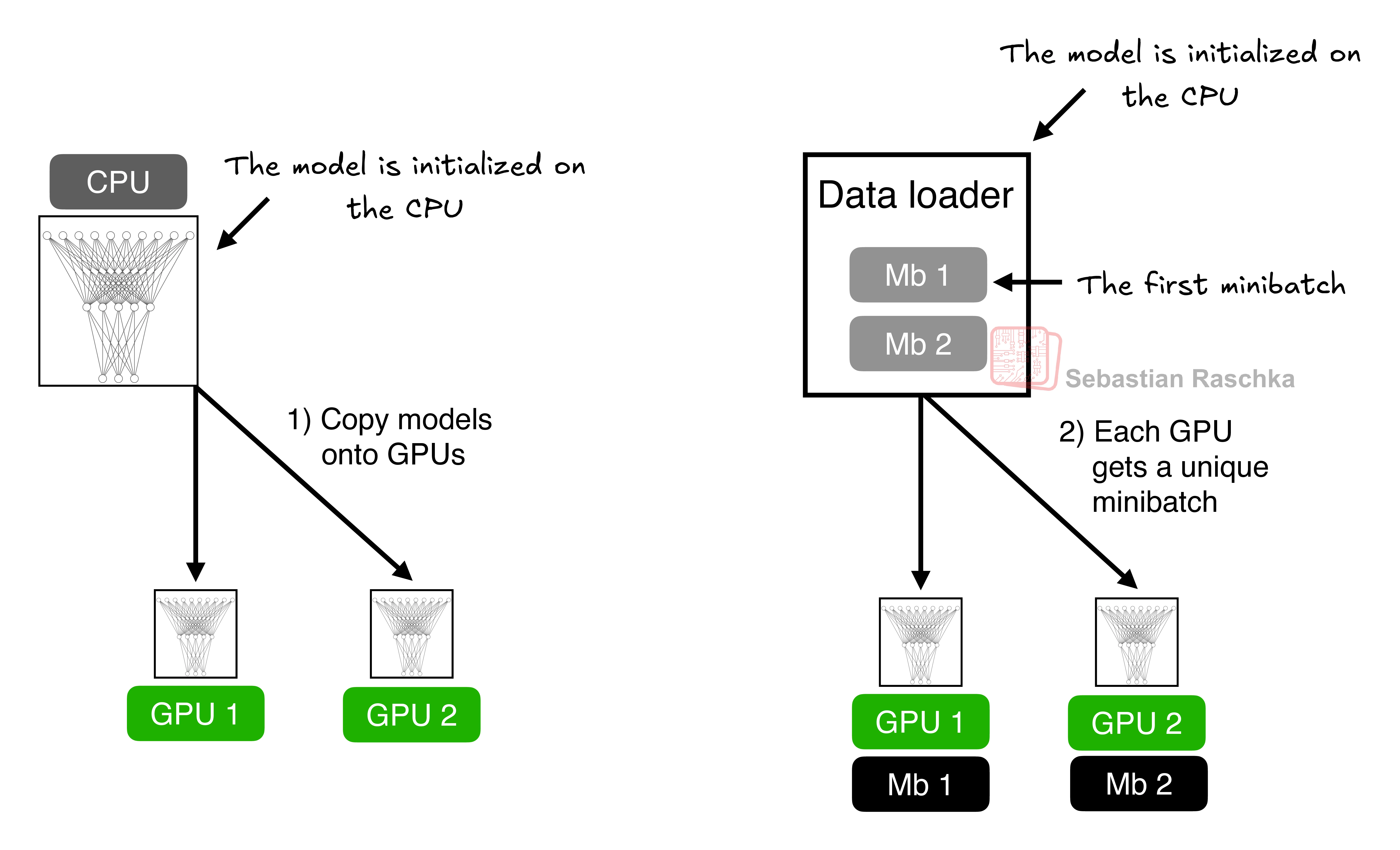 DDP copies the model onto each GPU and splits the data into unique minibatches.