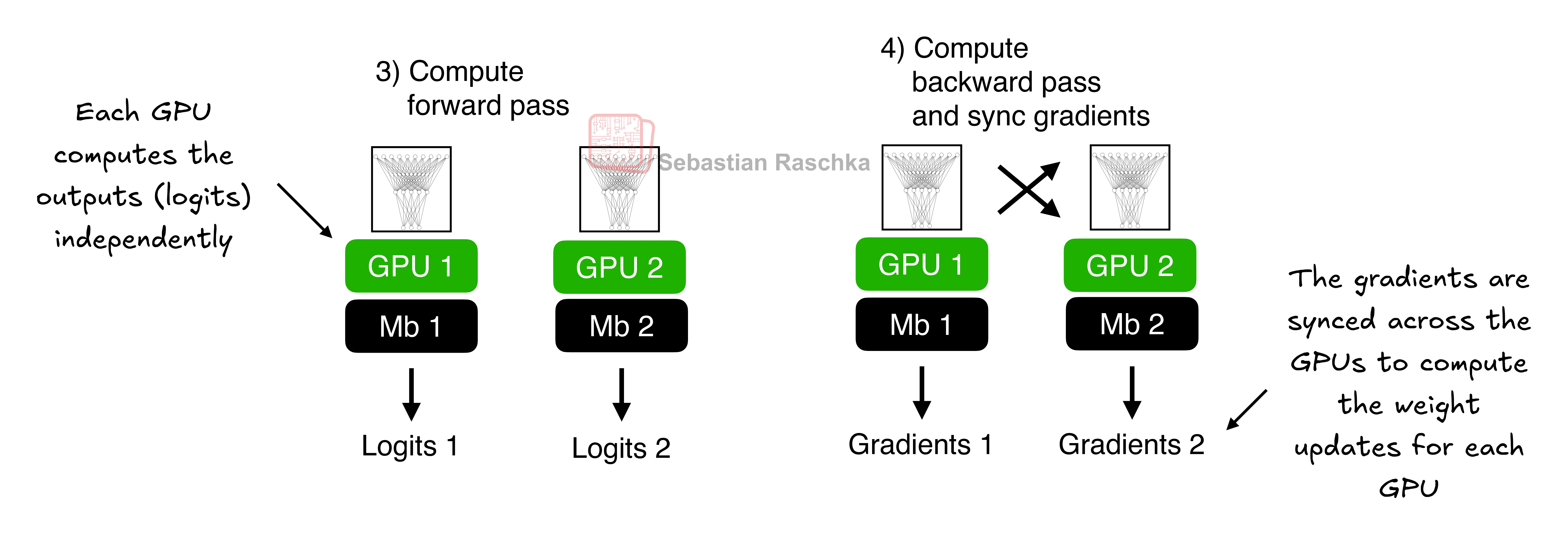 Forward and backward pass run on each GPU, then the gradients are synchronized.